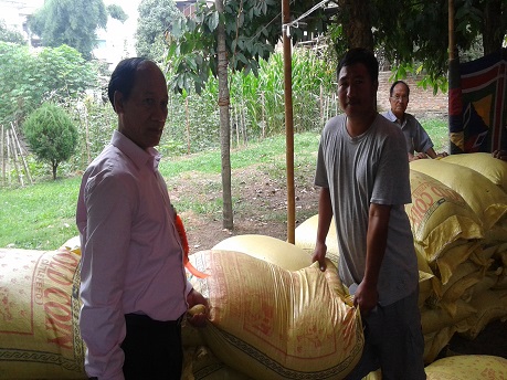 Distribution of Cattle Mithun (Sandang) feed to the farmers in Churachandpur District.
